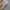 Converse All Star Chuck Taylor photo 4
