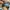 Converse All Star Chuck Taylor photo 6