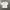 NUGU JAPAN GOLD BUTTON SHORT SLEEVE KNIT TOP photo 4