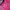 Balenciaga Classic Town Hot Pink Fuschia SHW photo 2