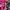 Balenciaga Classic Town Hot Pink Fuschia SHW photo 7