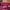 Balenciaga Classic Town Hot Pink Fuschia SHW photo 10
