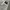 Versace Jeans Couture Pattern Pants photo 8