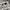 Versace Jeans Couture Pattern Pants photo 4