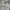 Versace Jeans Couture Pattern Pants photo 2