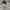 Versace Jeans Couture Pattern Pants photo 5