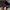 Skechers Six Panels Cap photo 4