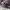RARE Balenciaga Balen Classic Folk Messenger Deep Purple photo 2