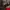 Nissan NISMO MOTUL AUTECH Zip Hoodie photo 6