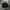Blank sweatshirts photo 1