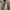 Penfield Gorpcore Casual Puffer jacket Pria tan brown photo 4