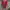 vintage red dress photo 2