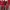 vintage red dress photo 1
