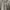 MLB Casual Sweatshirt Pria gray photo 3