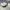 Y2k Nike Sunglasses