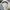 Y2K nike sunglasses photo 4