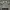 VERRY RARE COLLCTION T SHIRT ZARA MAN SKULL GRAPIC ,GRUNGE S photo 4