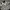 VERRY RARE COLLCTION T SHIRT ZARA MAN SKULL GRAPIC ,GRUNGE S photo 1