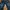 Red Pepper Vintage Streetwear Flare pants Wanita blue photo 7