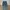 Cargo Jeans photo 1