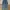 Cargo Jeans photo 5