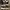 Converse Casual Sneakers Pria black photo 2