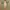 Beams Vintage Casual pants Pria green photo 3
