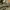 Beams Vintage Casual pants Pria green photo 6