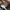 adidas stokholm photo 6