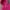 GILDAN FADED PINK 2000S