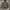 Fjallraven Kanken, Montt 3 In 1 Hydratic Wax Jacket Hunting photo 1