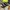 DR MARTENS DOCMART Mary Jane Loafers 8065 photo 1