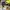 DR MARTENS DOCMART Mary Jane Loafers 8065 photo 5
