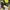 DR MARTENS DOCMART Mary Jane Loafers 8065 photo 4