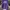 Fila Casual Sweatshirt Wanita Purple