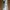SOMETHINC Tipsy Lash Lift Lengthening Mascara