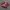 adidas SL photo 1