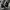 Converse chuck 70s HI photo 4
