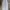 BEGGY SKATE BIG POCKET  photo 1