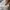 BEGGY SKATE BIG POCKET  photo 5