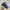 Converse Streetwear Casual Hat Pria Navy