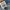 Baggy denim vintage petir [AvH Brand] super wide leg photo 9