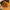 Boots Timberland yellow Icon photo 6