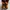 Boots Timberland yellow Icon photo 2