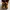 Boots Timberland Yellow Icon