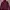 Uniqlo Turtleneck Maroon 