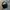 Carhatt Messenger Bag Black  photo 1