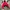 Phenix Gorpcore Puffer Jacket Pria White Red