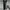 Trackpants adidas trefoil photo 10