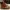 timberland og 6 inch photo 3